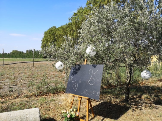 Réception Provence Alpilles