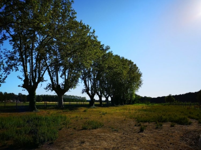 Réception Provence Alpilles